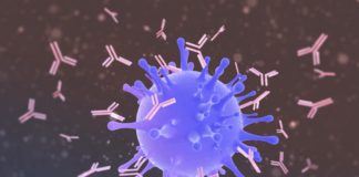 Antibodies attacking virus, illustration