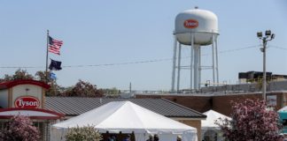 Photo of meat plant workers being screened