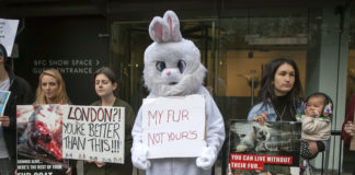 Phooto of protestors