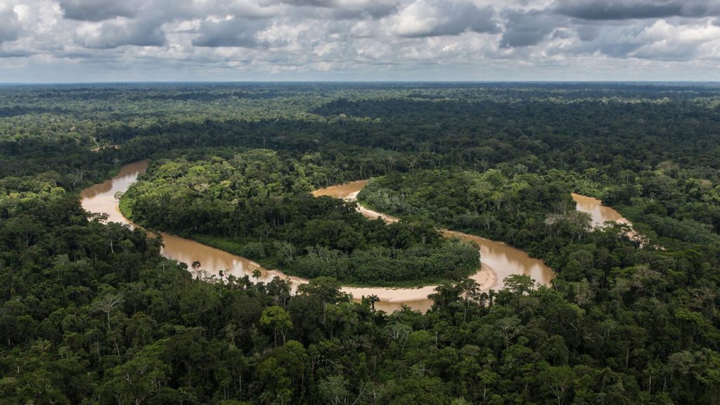 Arial photograph of a river winding through the Amazon rainforest