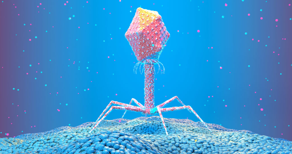 COmputer generated drawing of a virus
