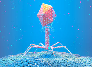 COmputer generated drawing of a virus