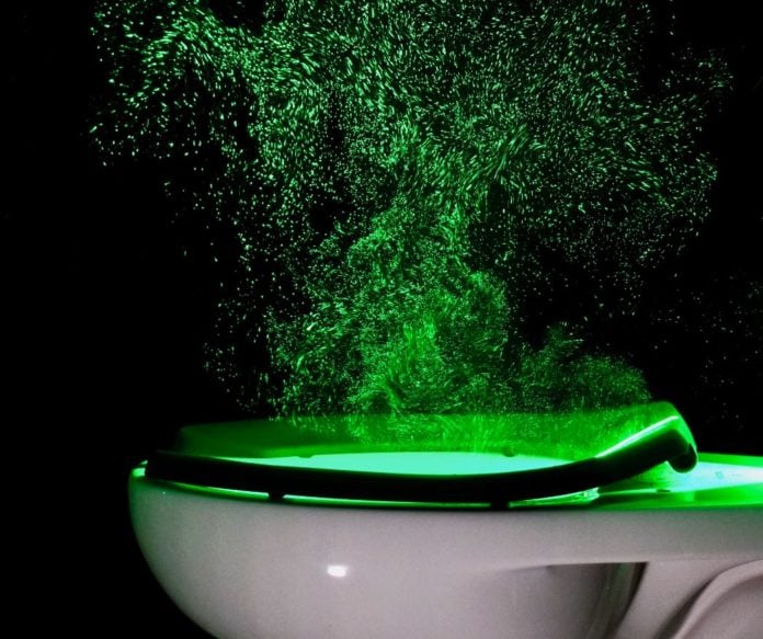 Phto of toilet flush mist illuminated by a green lazer