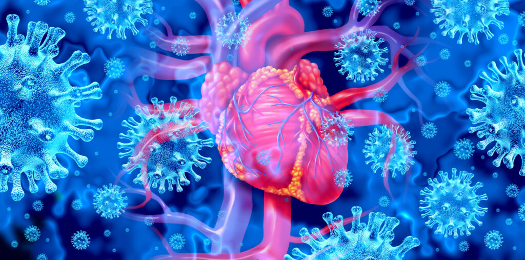 Artist drawing of a human heart surrounded by viruses