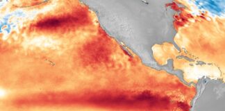 Artist rendering of an El Nino evebt in the Pacific Ocean