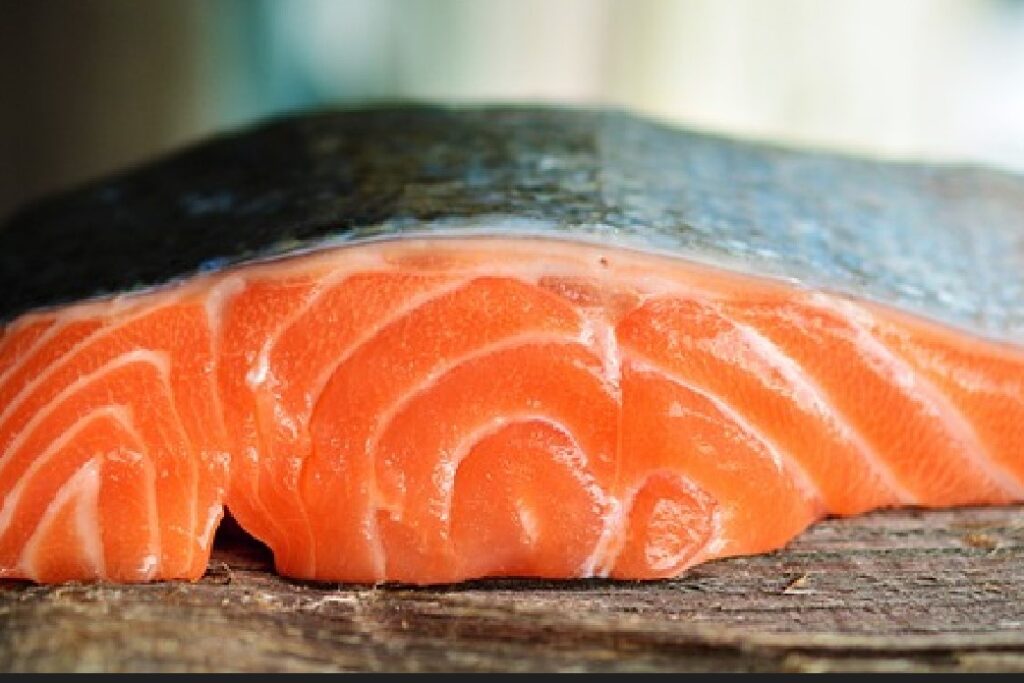 Image of an uncooked portion of fresh salmon