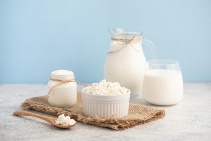 Photo of fermented dairy products